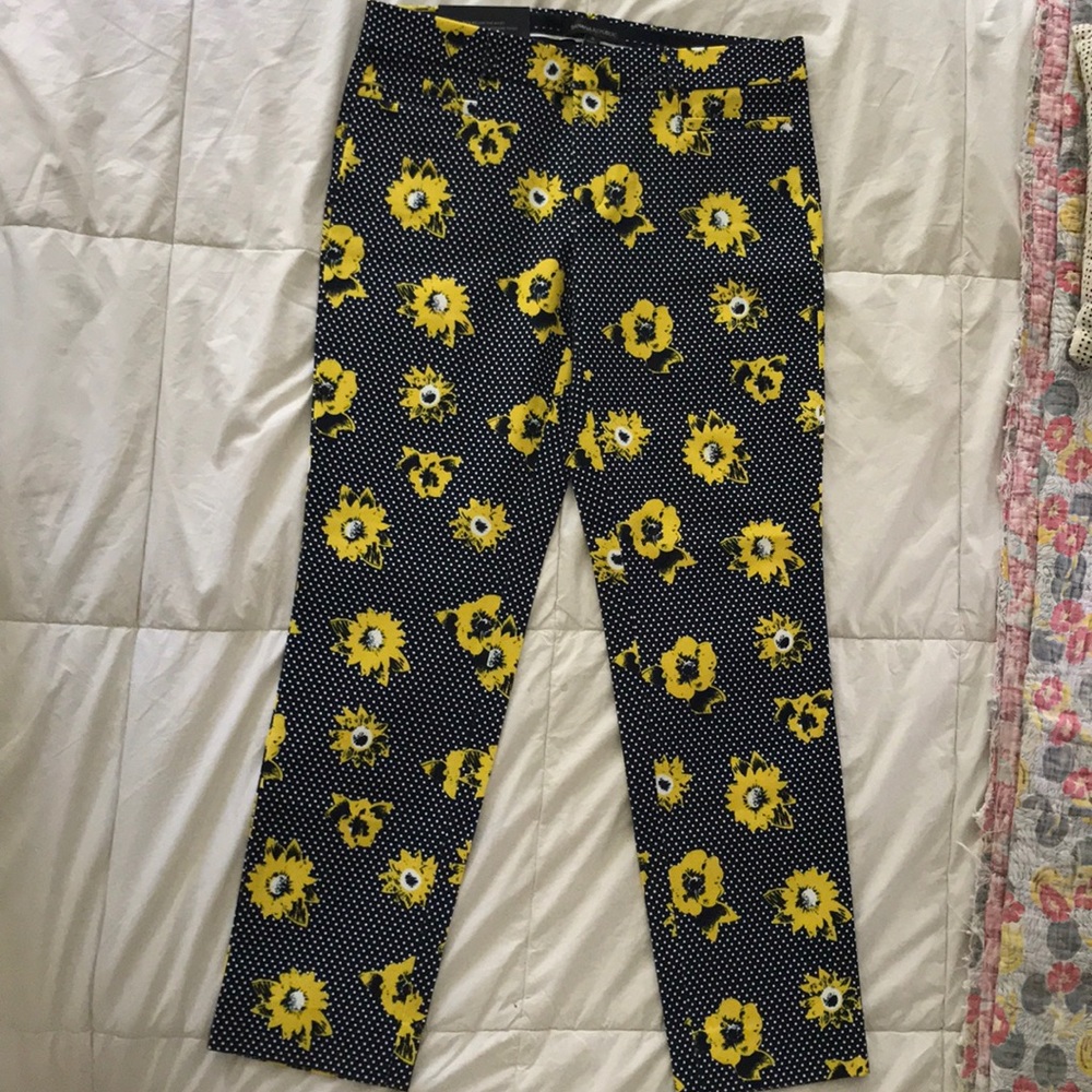 Women’s dress pants!